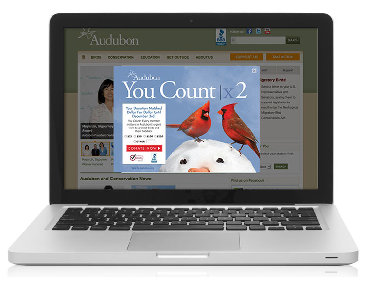 National Audubon Society Website Overlay